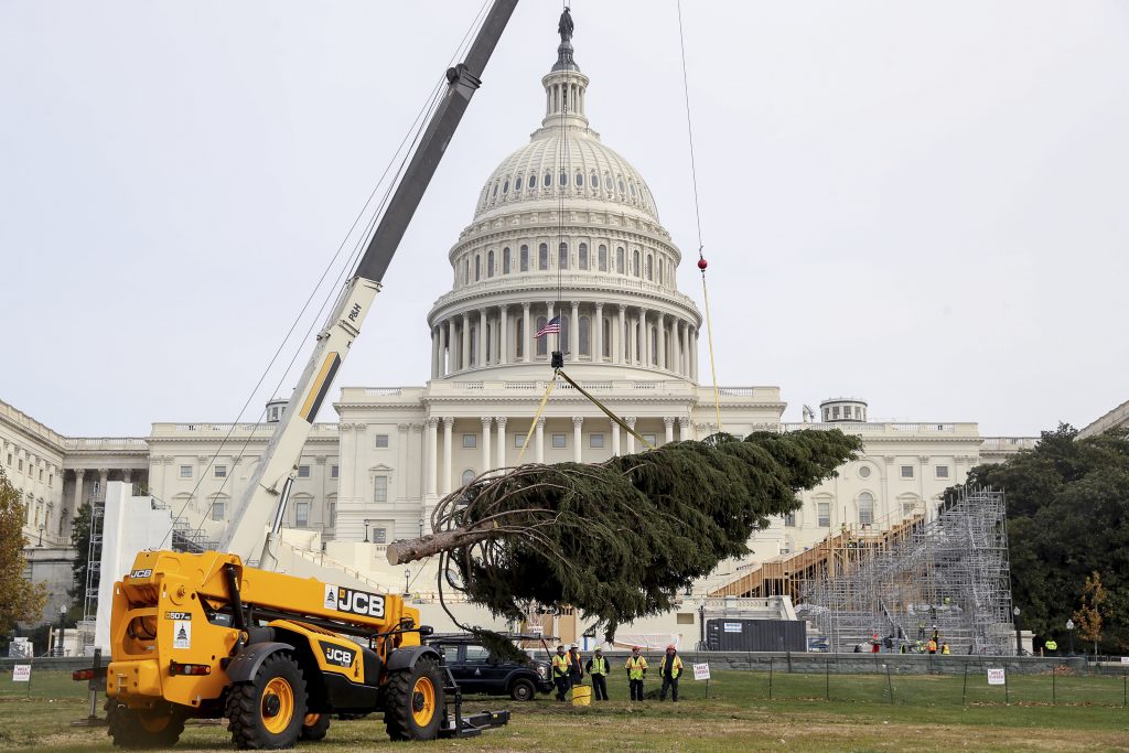 The 2016 U.S. Capitol Christmas Tree arrives to the West Lawn of the U.S. Capitol Building in Washington, Monday, Nov. 28, 2016, from the Payette National Forest in Idaho. (AP Photo/Andrew Harnik)