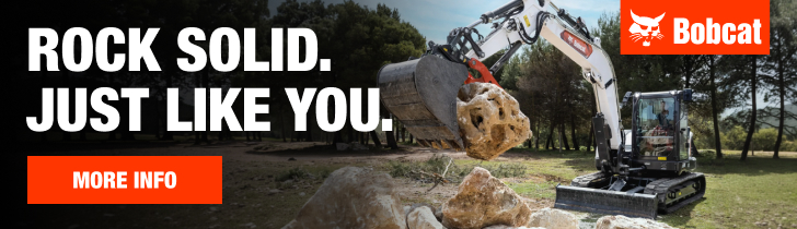 Bobcat June 26