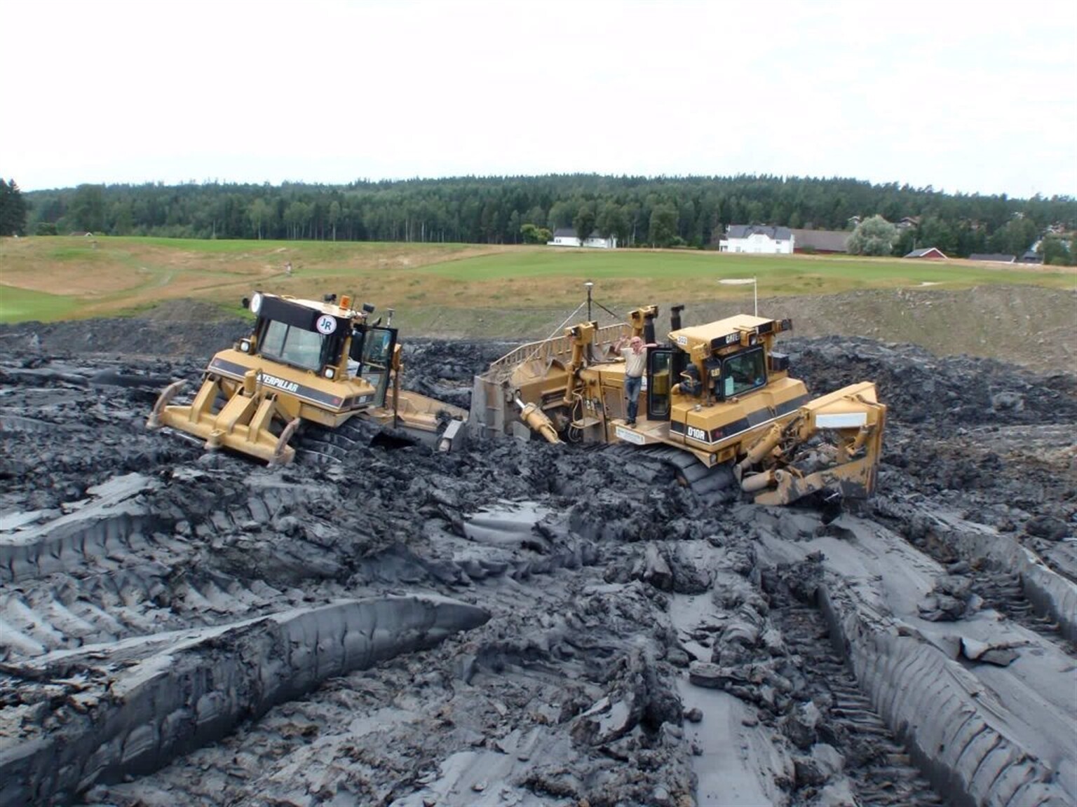 Cats tackle sticky Norwegian blue clay