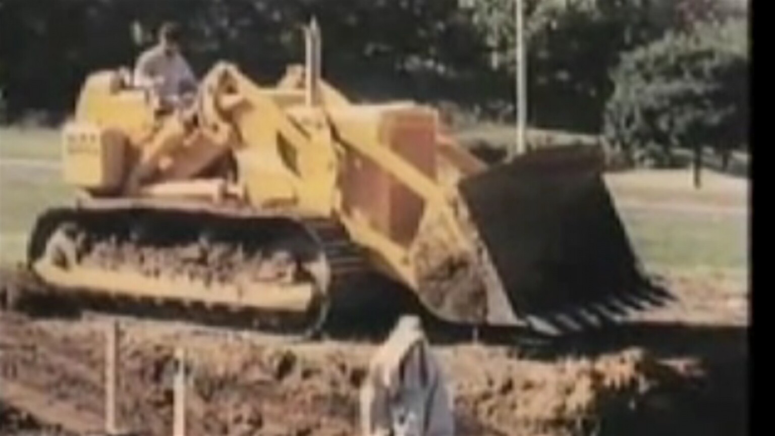 Old Cat safety film still delivers the message