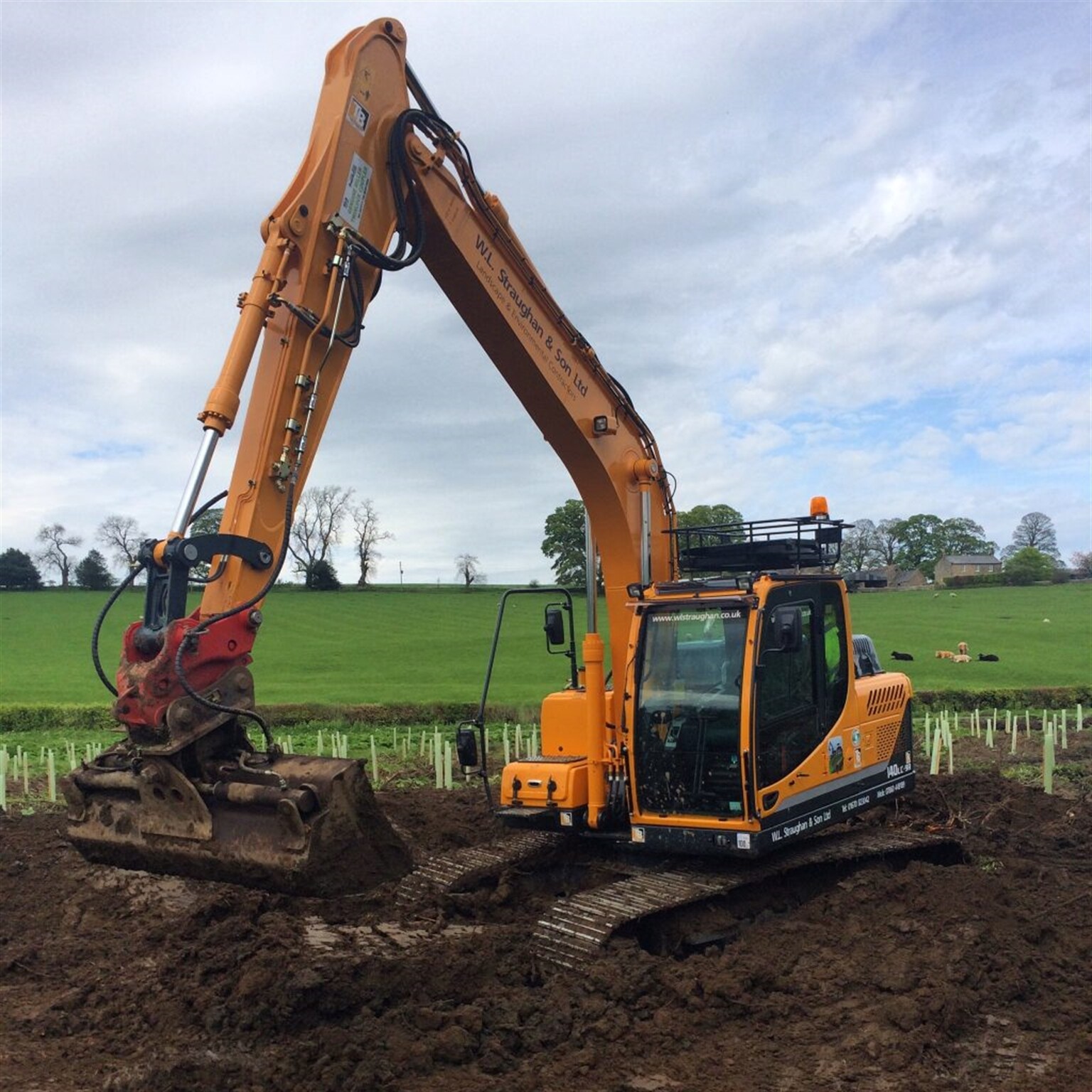 W L Straughan & Son see the wood for the trees with Hyundai fleet.