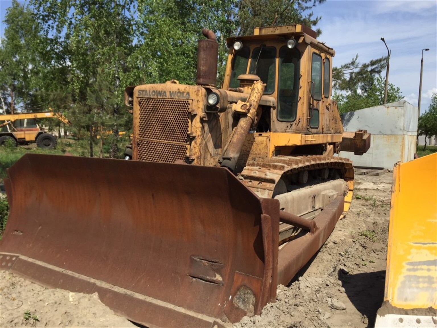 Polish rarities discovered