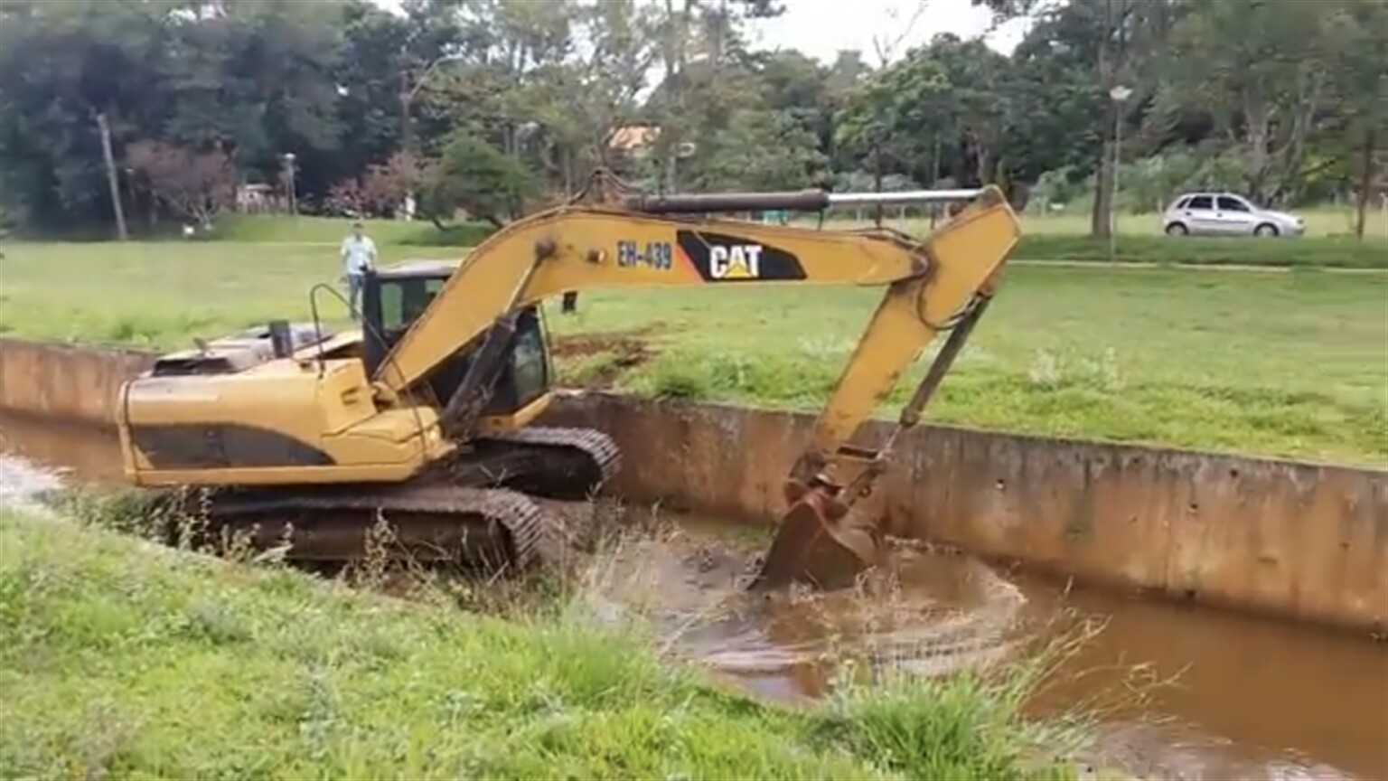 Cat climbs out the canal