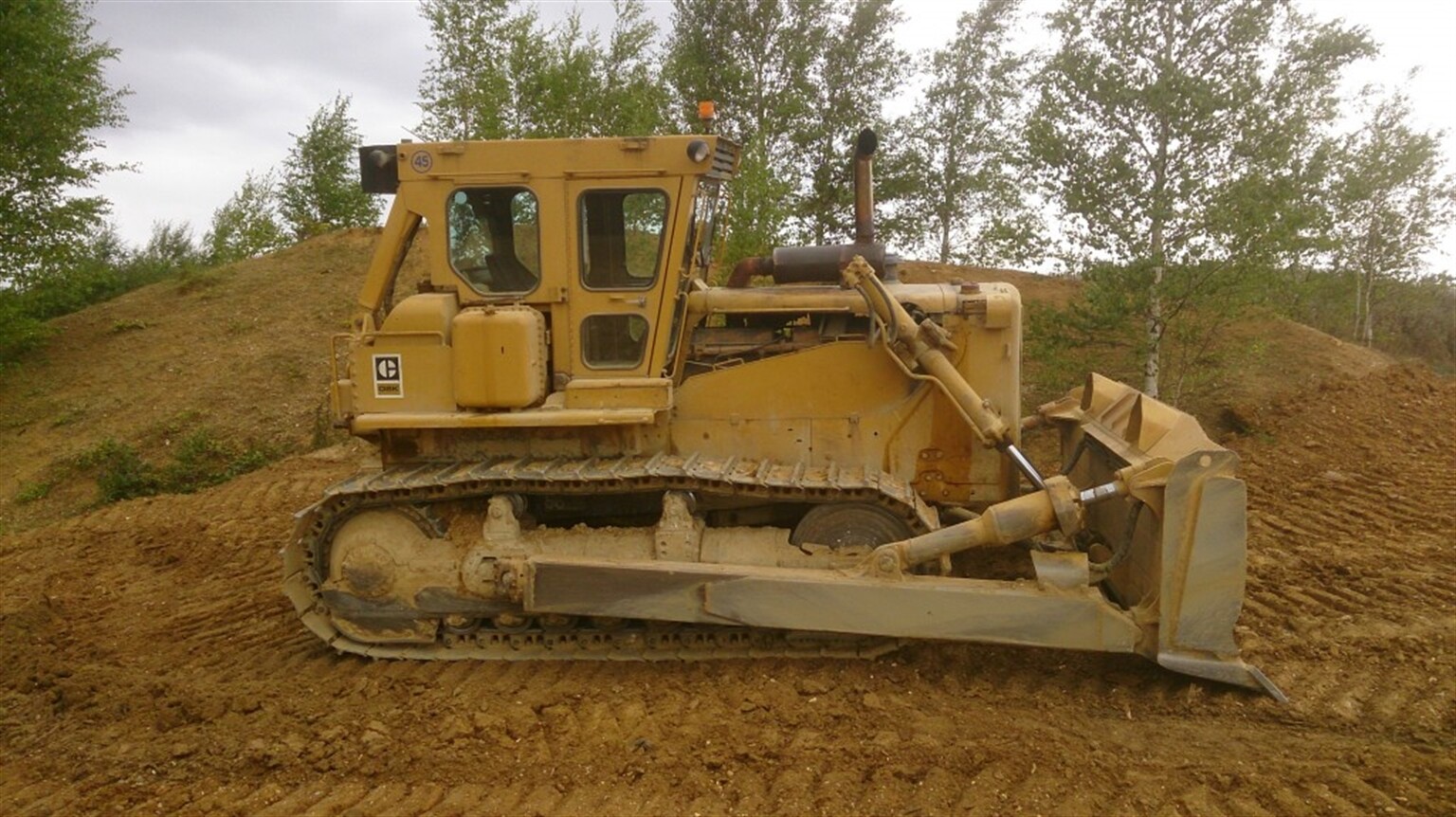 Classic Cat D8K spotted