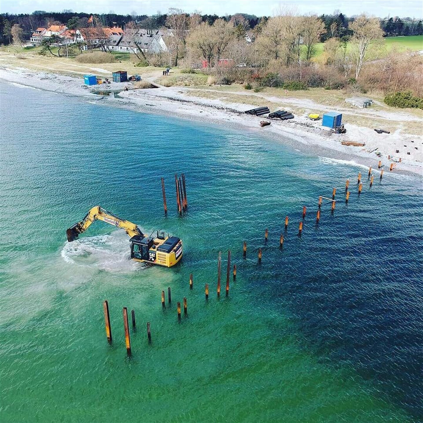 Cat goes paddling to build a jetty