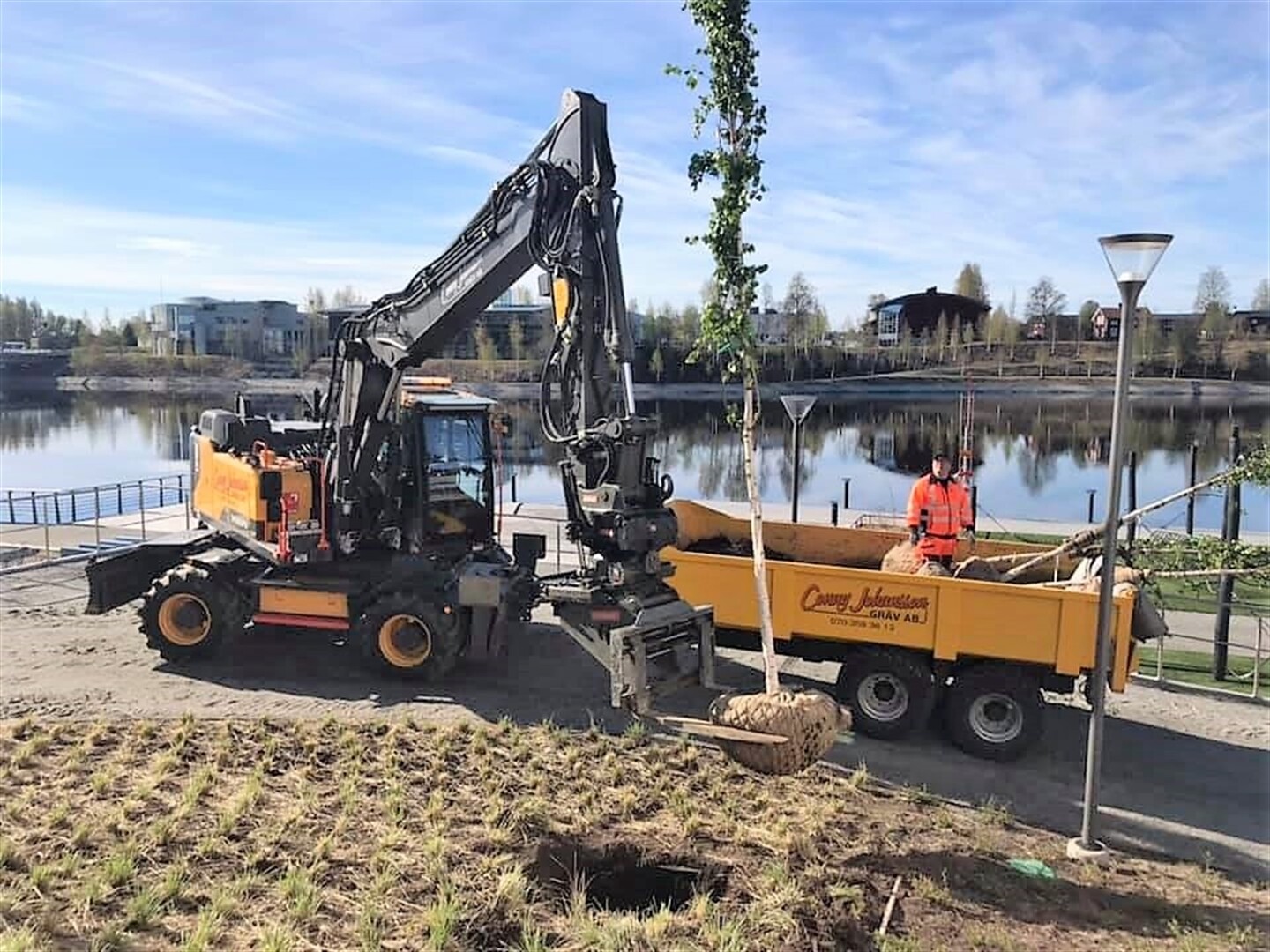 Mechanised tree planting Swedish style