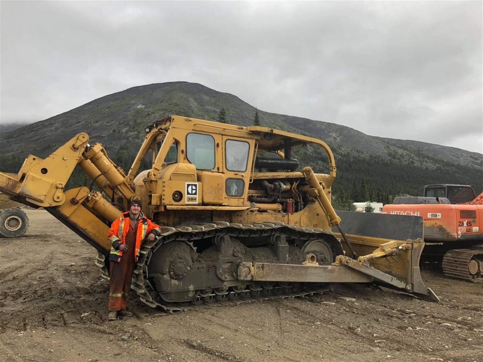 Classic Cats Discovered by Our Cornishman in Canada