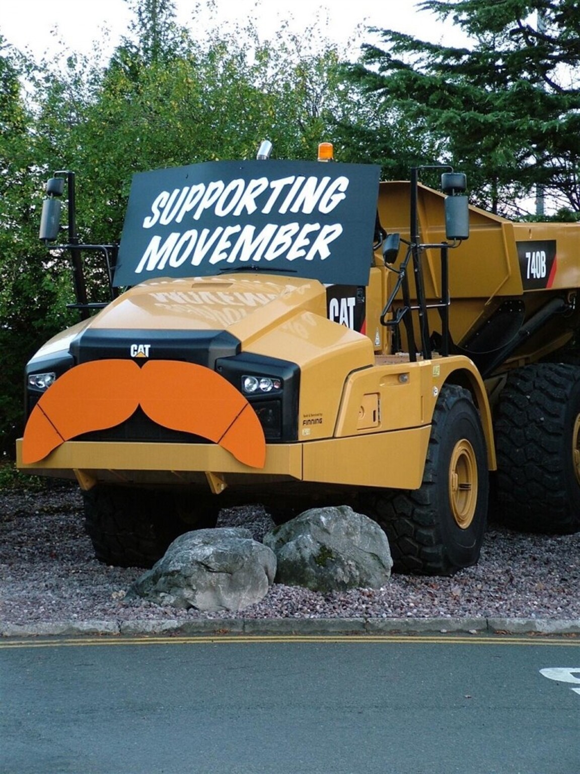Finning Cat shows a stiff upper lip in support of Movember