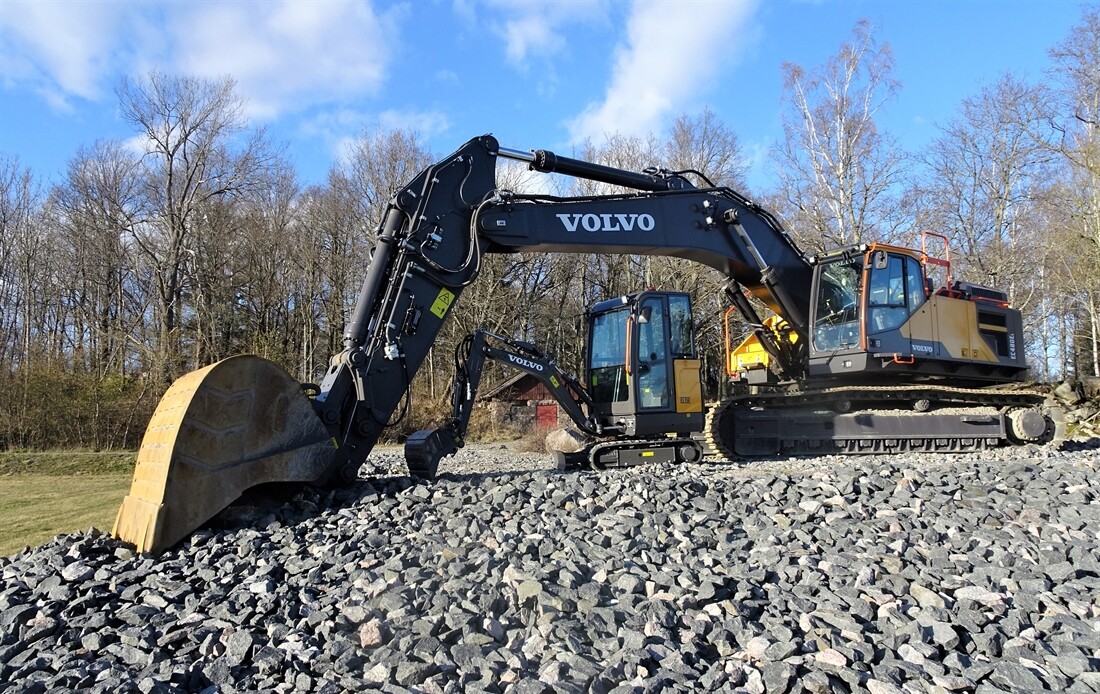 Big Excavator Protects its Baby Brother