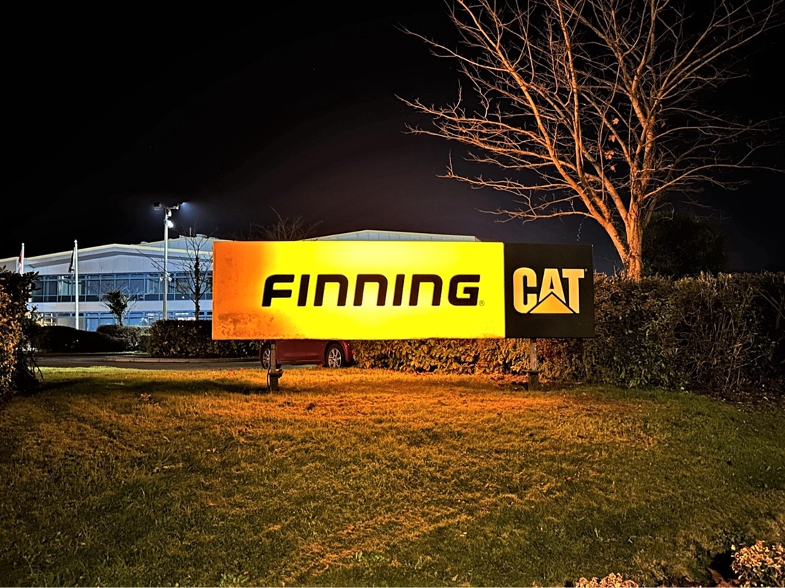 Getting Festive at Finning Cat