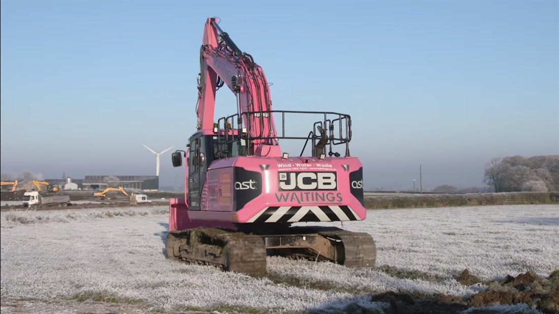 Back in the Pink with Waitings