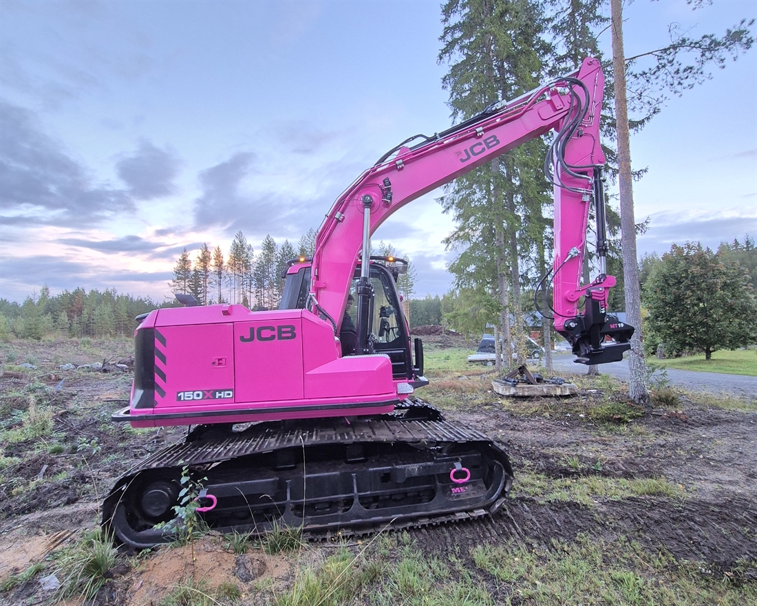 Pink Excavator Stands Out in the Forest