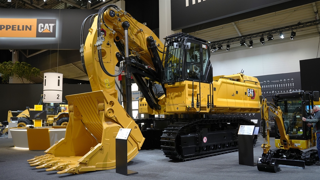 Face Off with Cats 395 FS