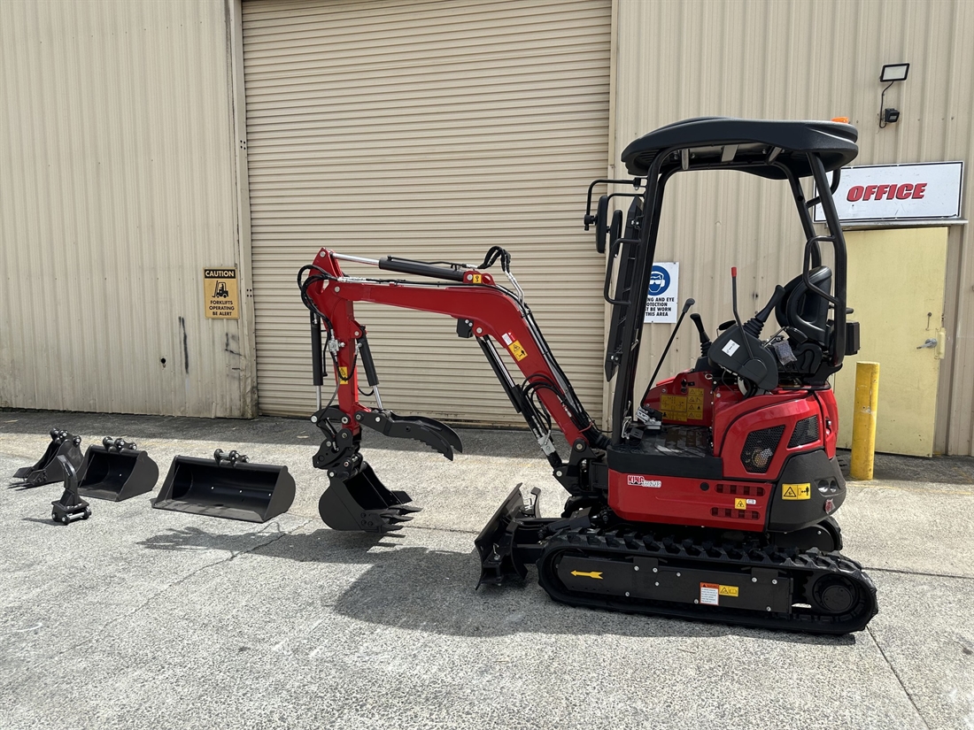 Digger Man Looks at The Digger King