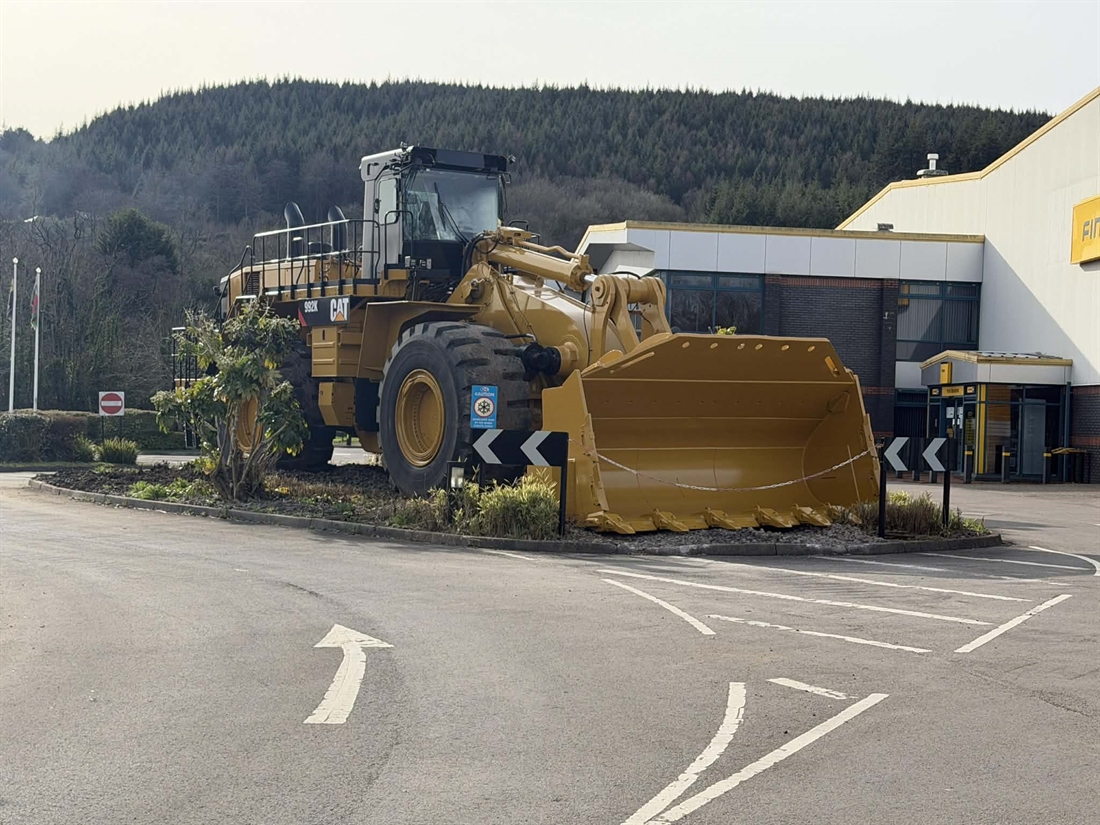 Big Cat Spotted in Llantrisant