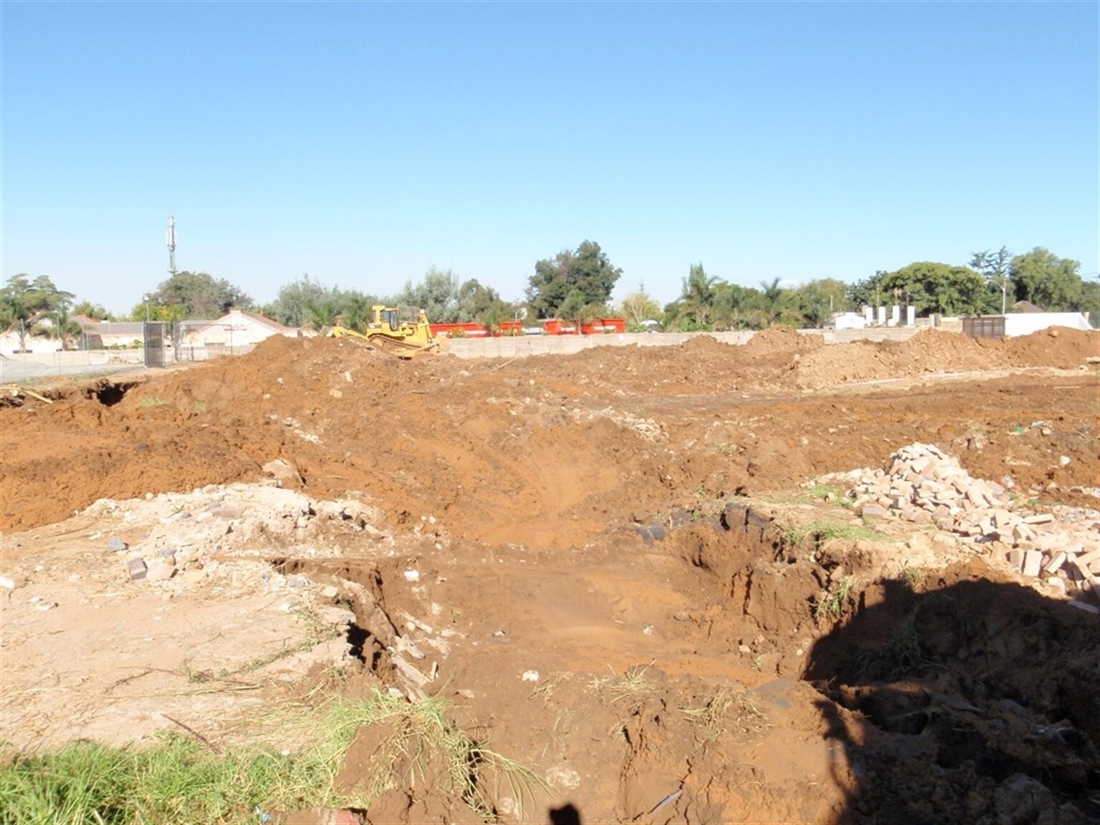 Sticky situation for Cats in South Africa #FlashbackFriday