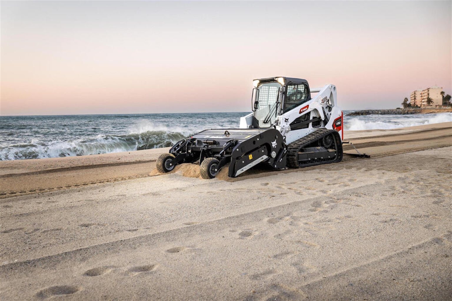 Down on the Beach with Bobcat